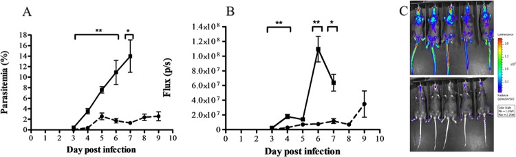 Fig 3