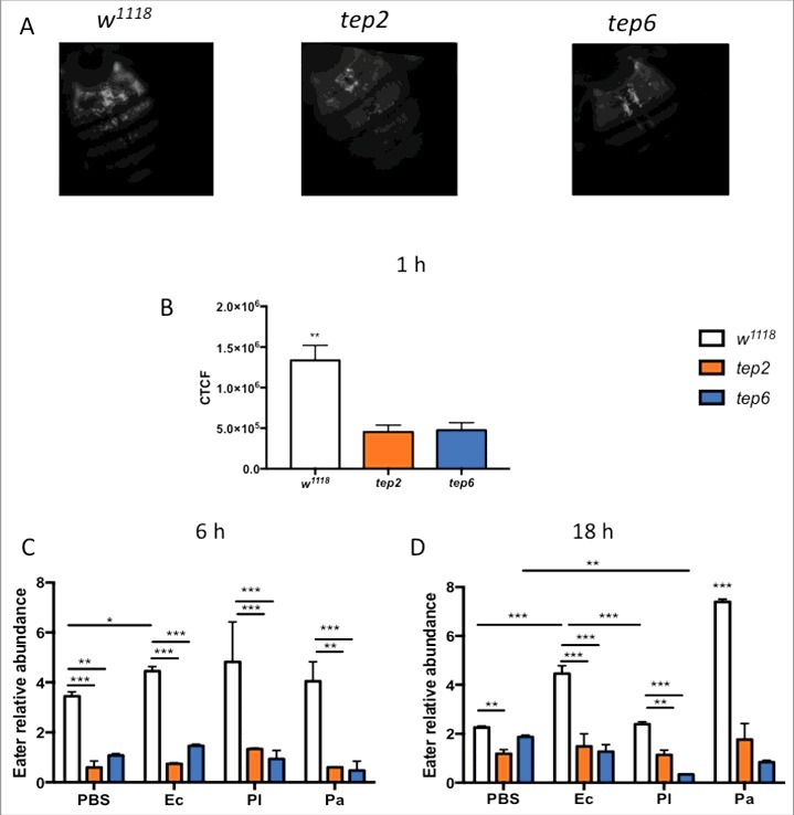 Figure 6.