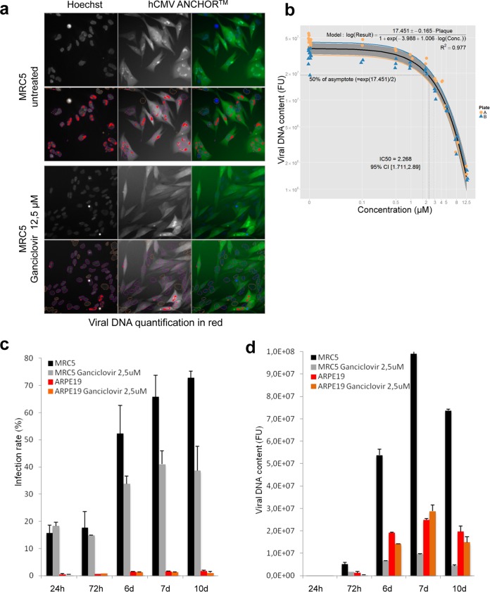 FIG 10