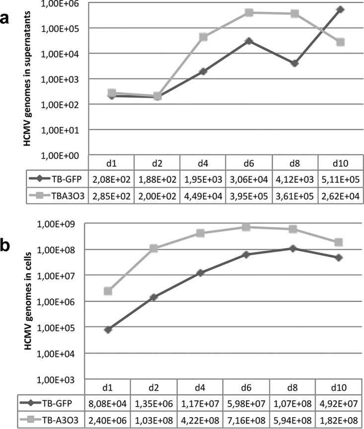 FIG 3