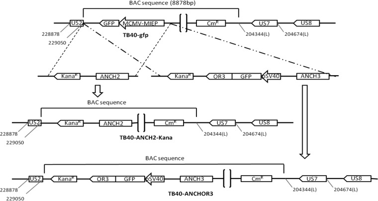 FIG 2