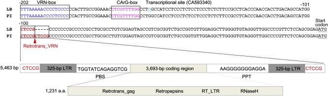 Figure 4 