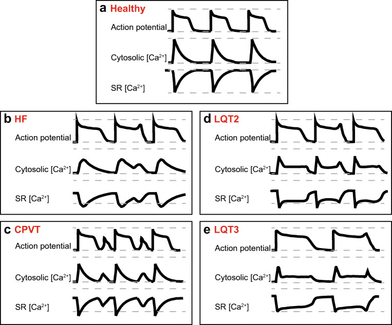 Fig. 2