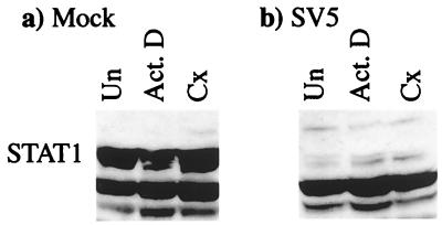 FIG. 7