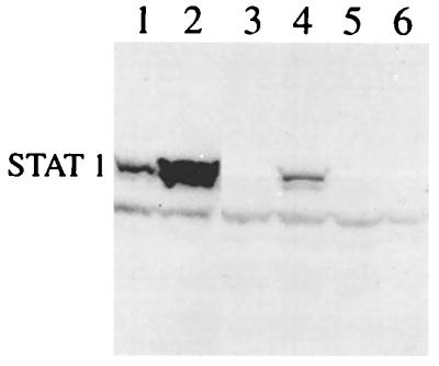 FIG. 8