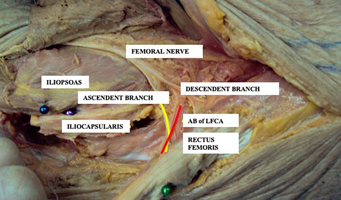 Fig. 8.