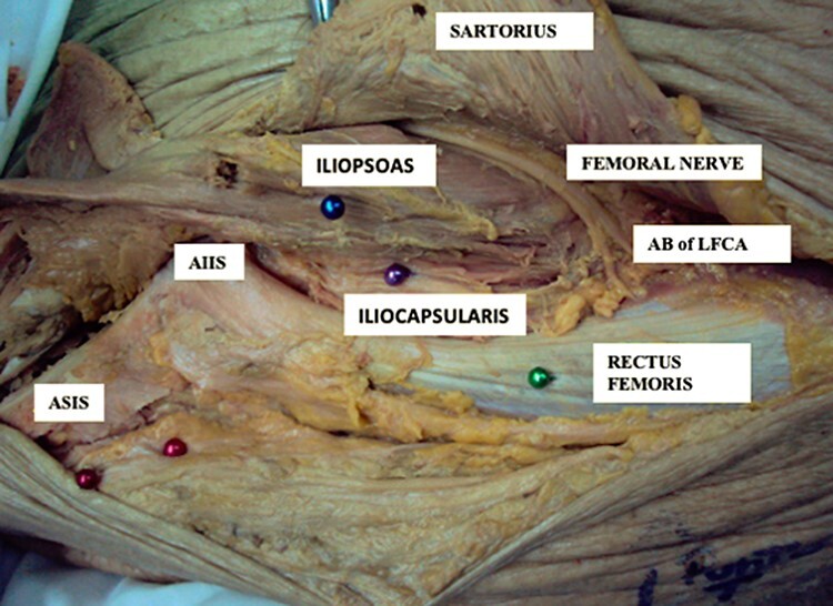 Fig. 6.