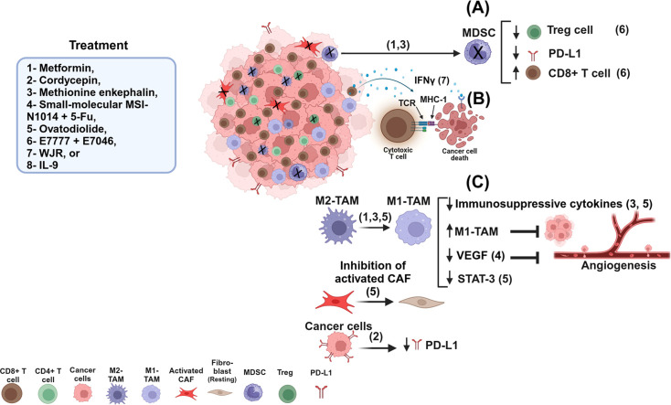Image, graphical abstract
