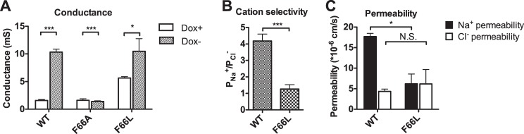 FIGURE 5.