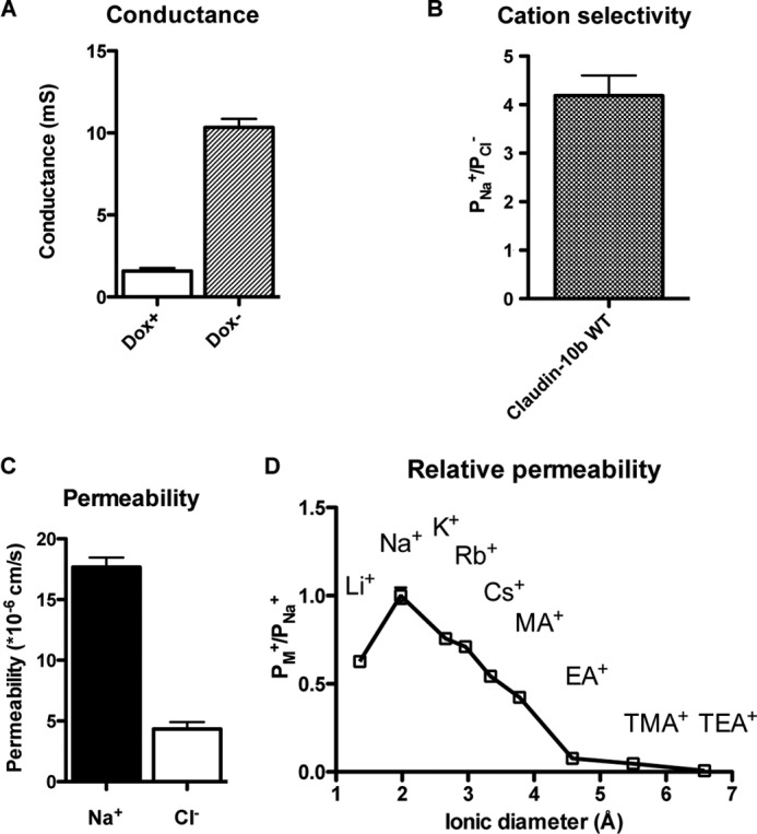 FIGURE 4.