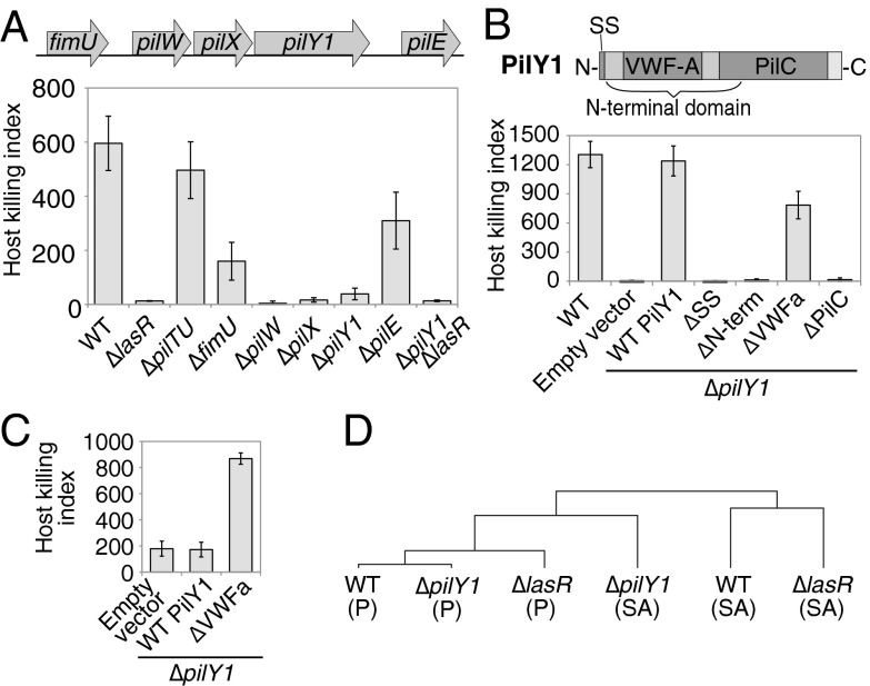 Fig. 4.