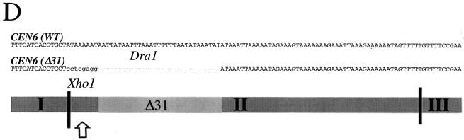 FIG.6.