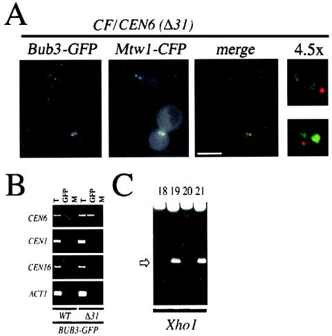 FIG.6.