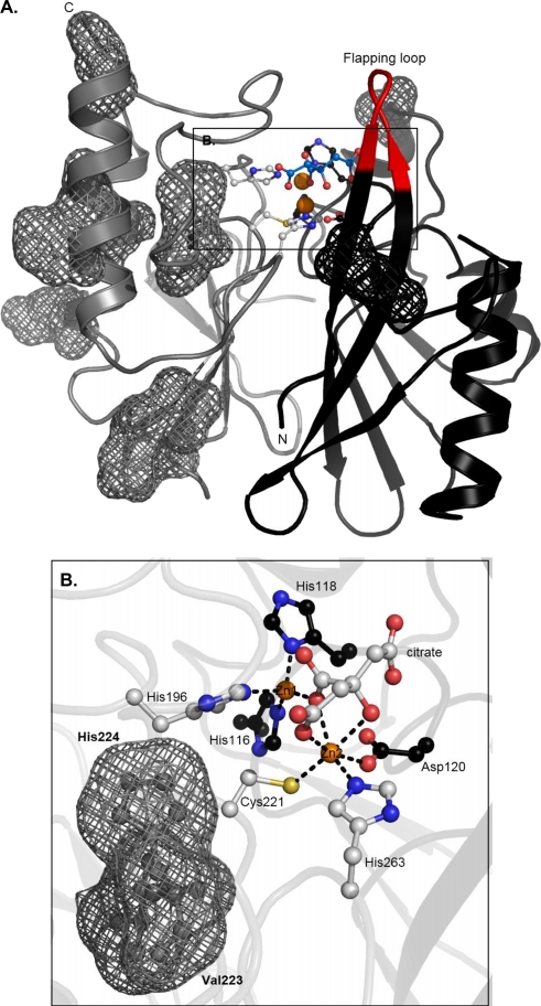 FIG. 4.