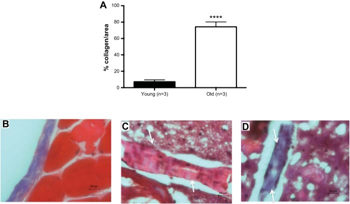 Fig. 9.