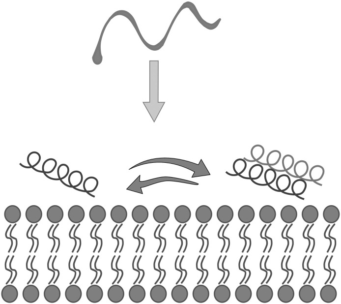 Fig. 1