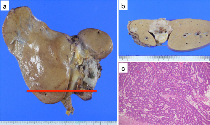 Fig. 5