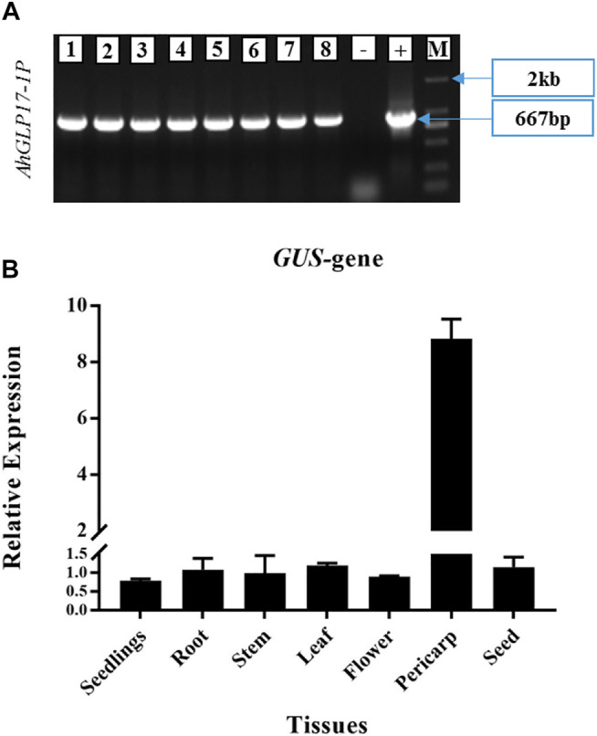 FIGURE 5