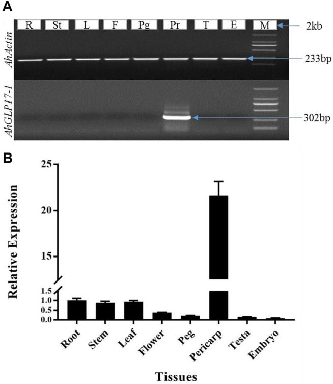 FIGURE 2