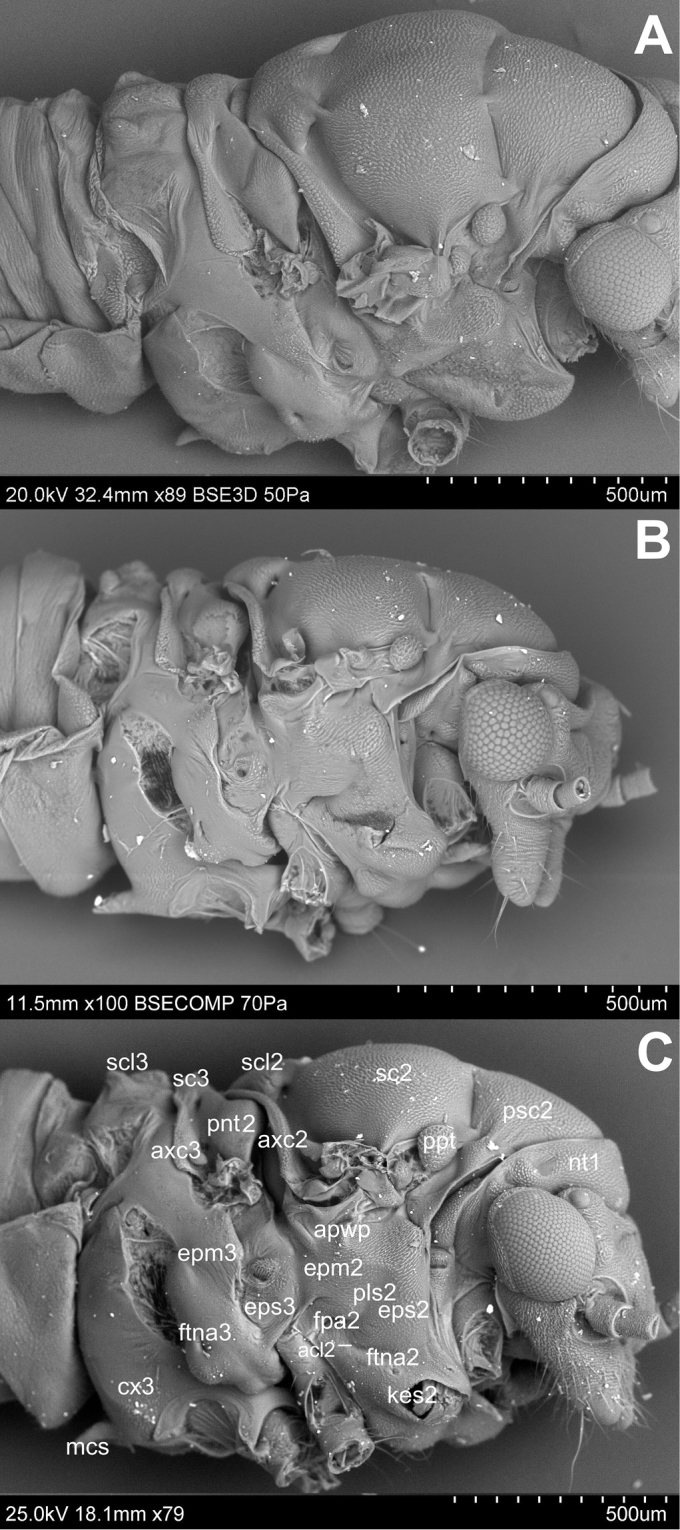 Figure 2.