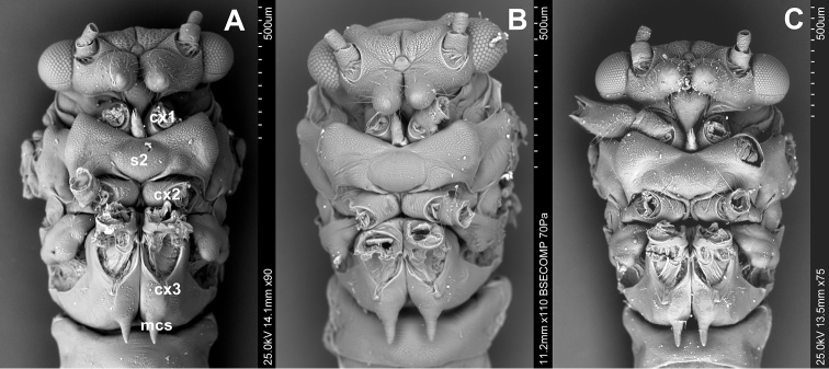 Figure 3.