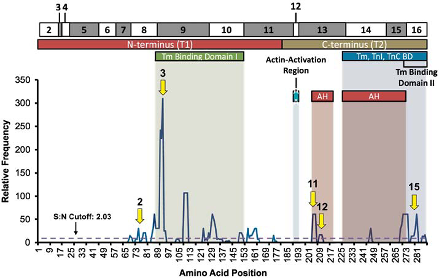 Figure 4: