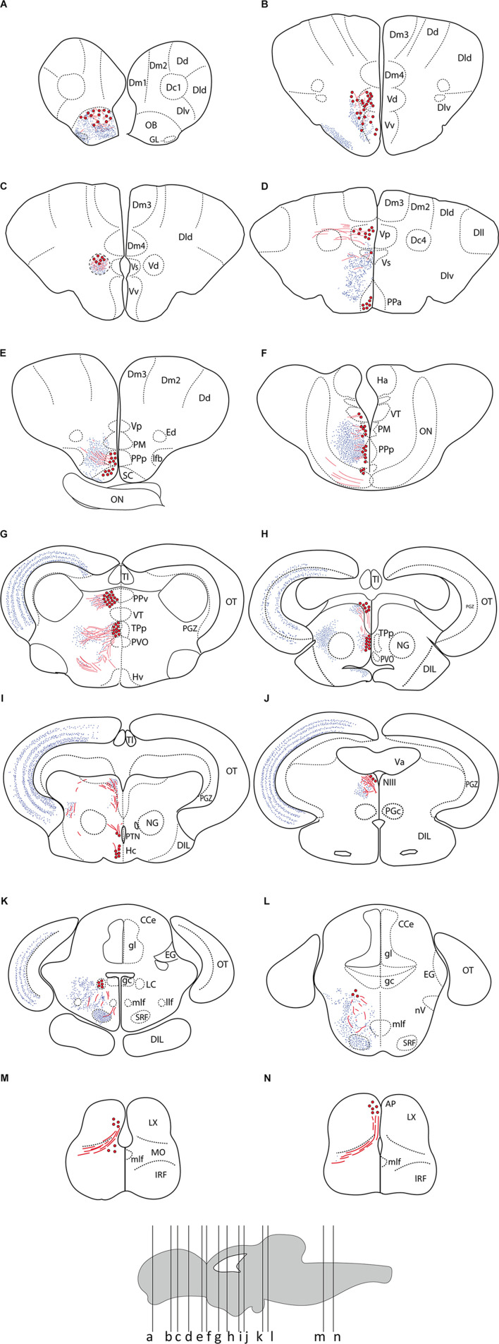 FIGURE 2