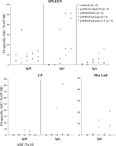 FIG. 3.