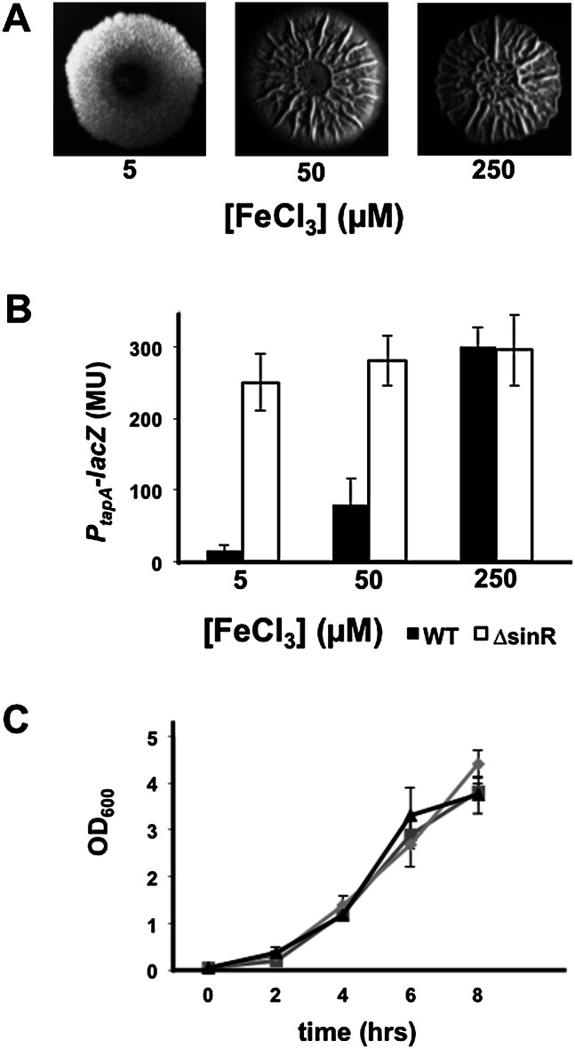 Figure 2.