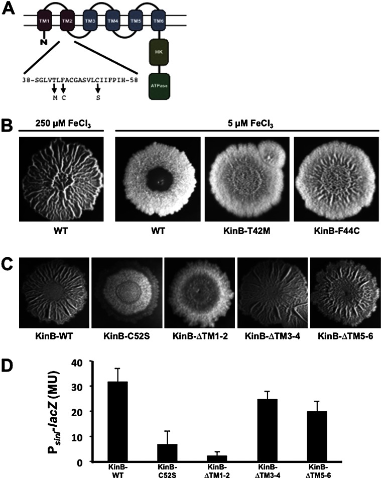 Figure 6.