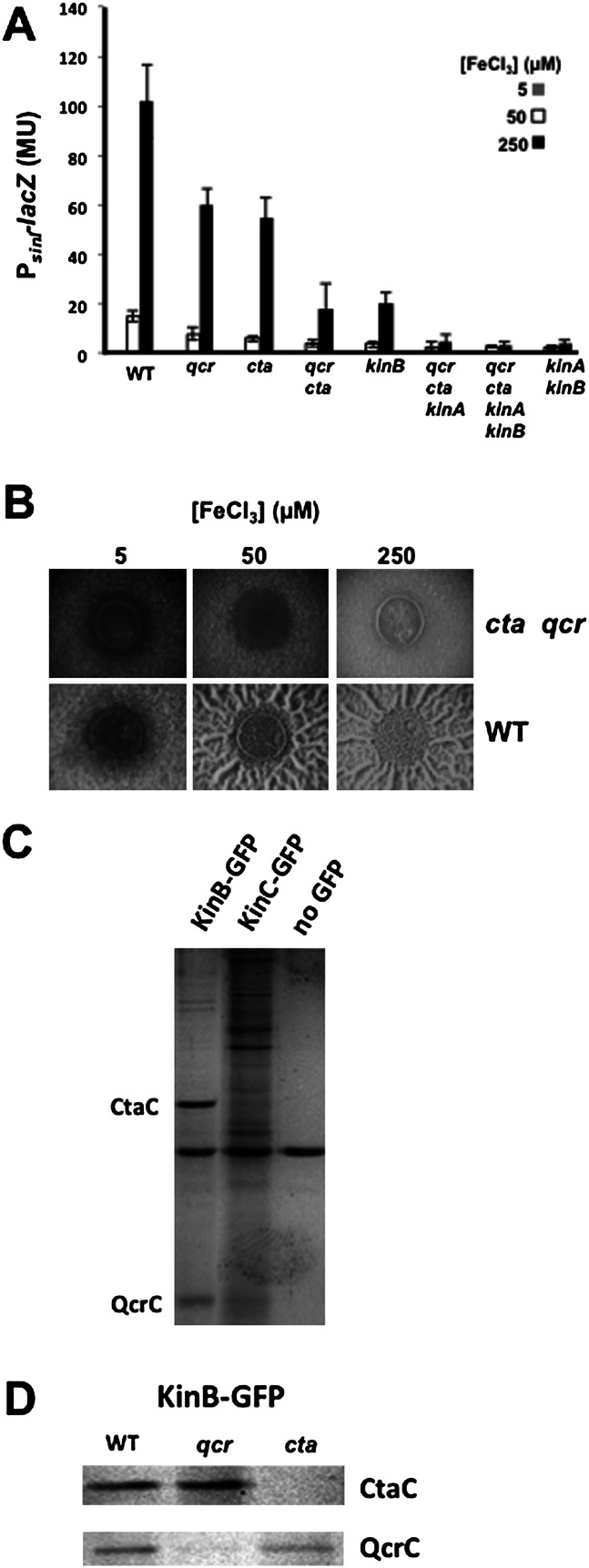 Figure 5.