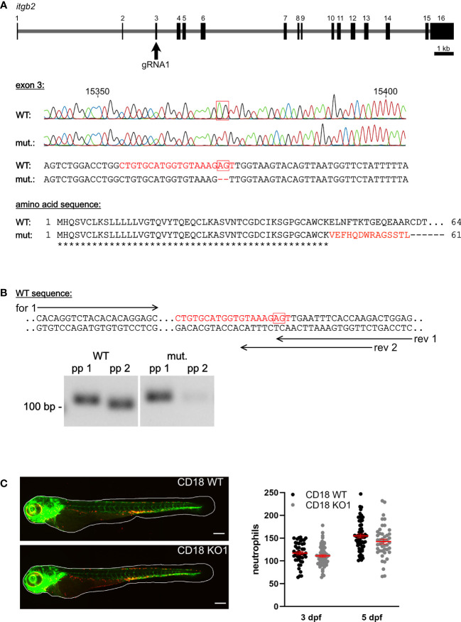 Figure 1