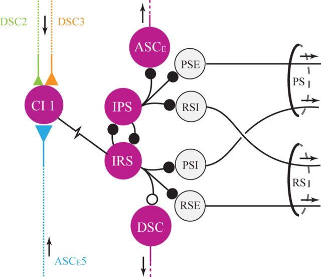 Figure 9.