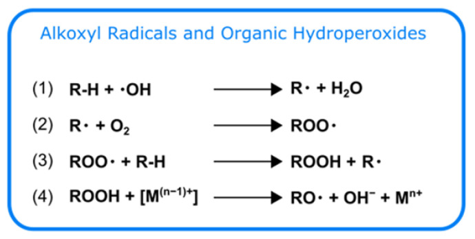 Scheme 3