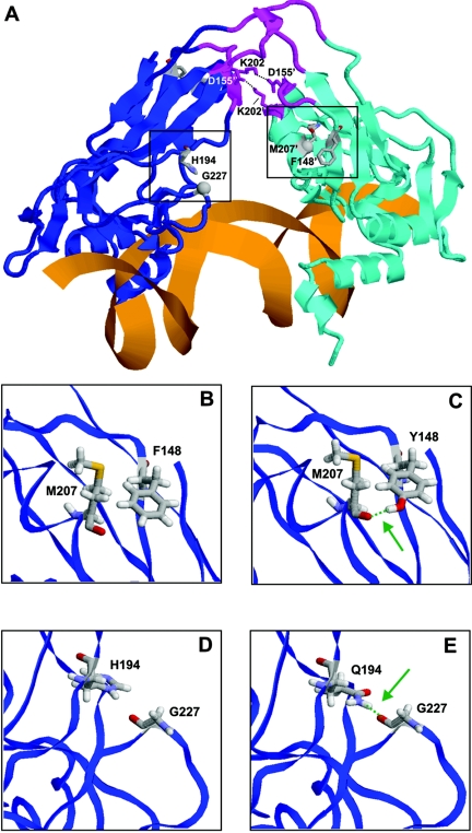 Figure  4. 