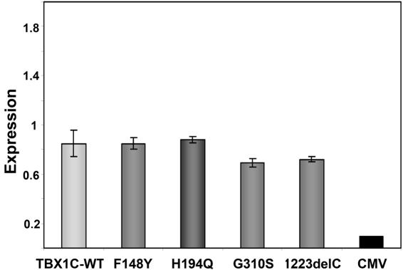 Figure  3. 