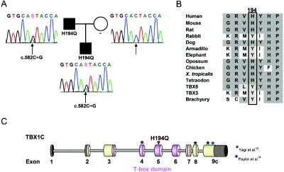 Figure  1. 