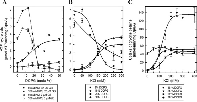 FIGURE 4.