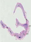Figure 8