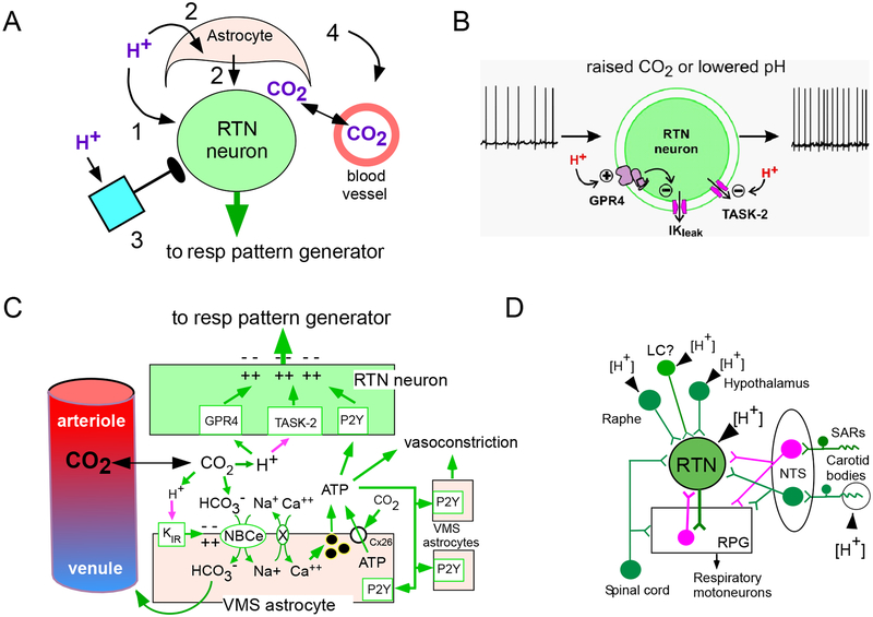 Figure 5 (Key Figure):