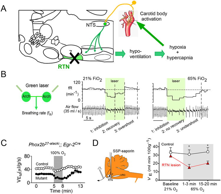 Figure 4: