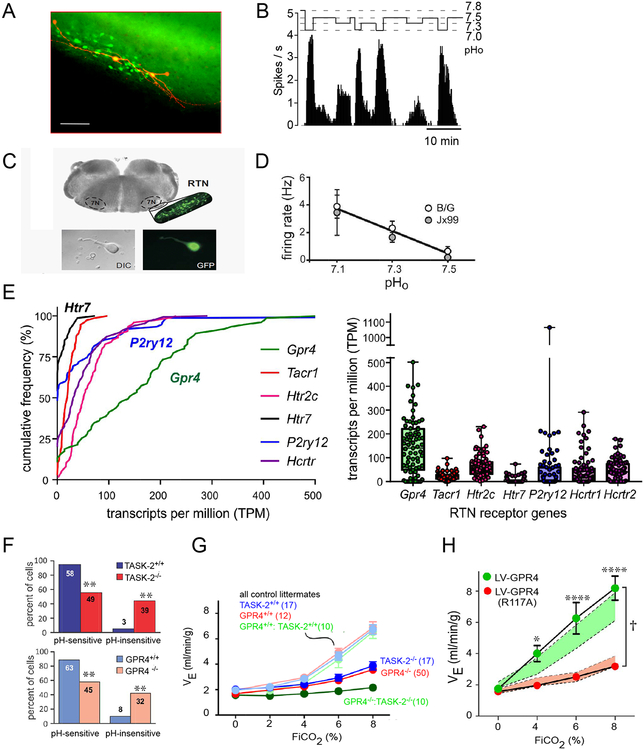 Figure 6: