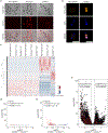 Extended Data Figure 5: