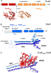 FIGURE 1.