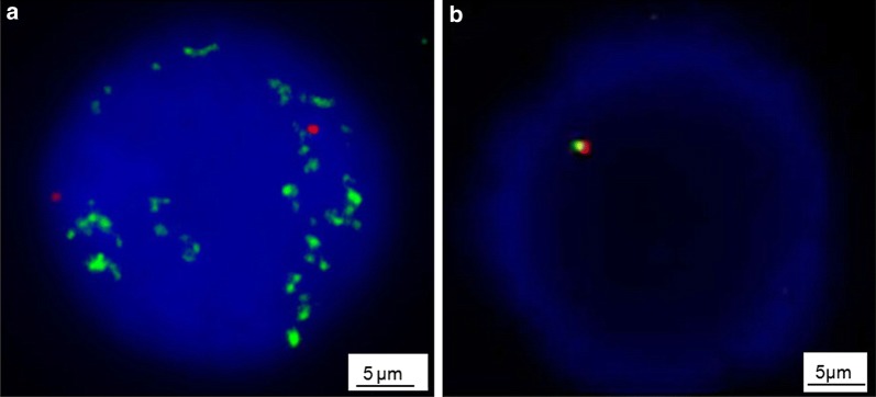 Fig. 1