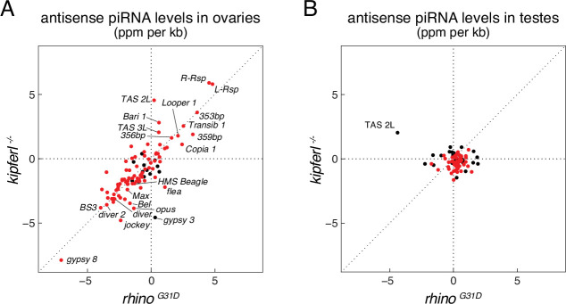 Figure 5—figure supplement 1.