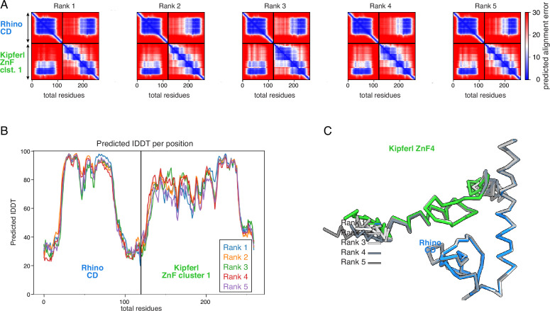 Figure 1—figure supplement 3.