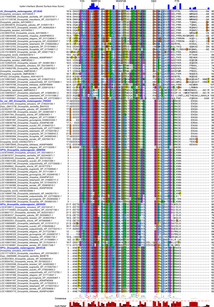 Figure 1—figure supplement 1.