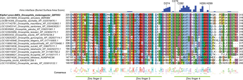 Figure 1—figure supplement 4.