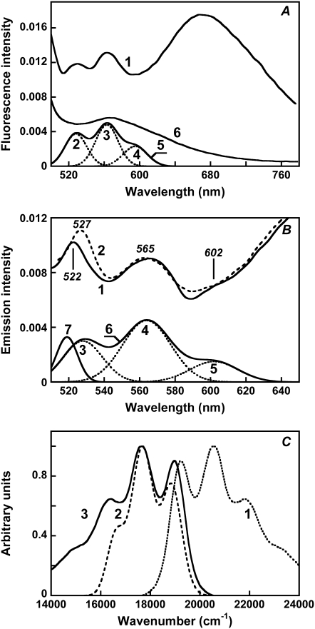 FIGURE 3